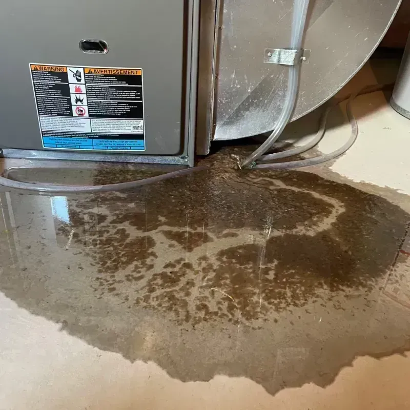 Appliance Leak Cleanup in Okawville, IL